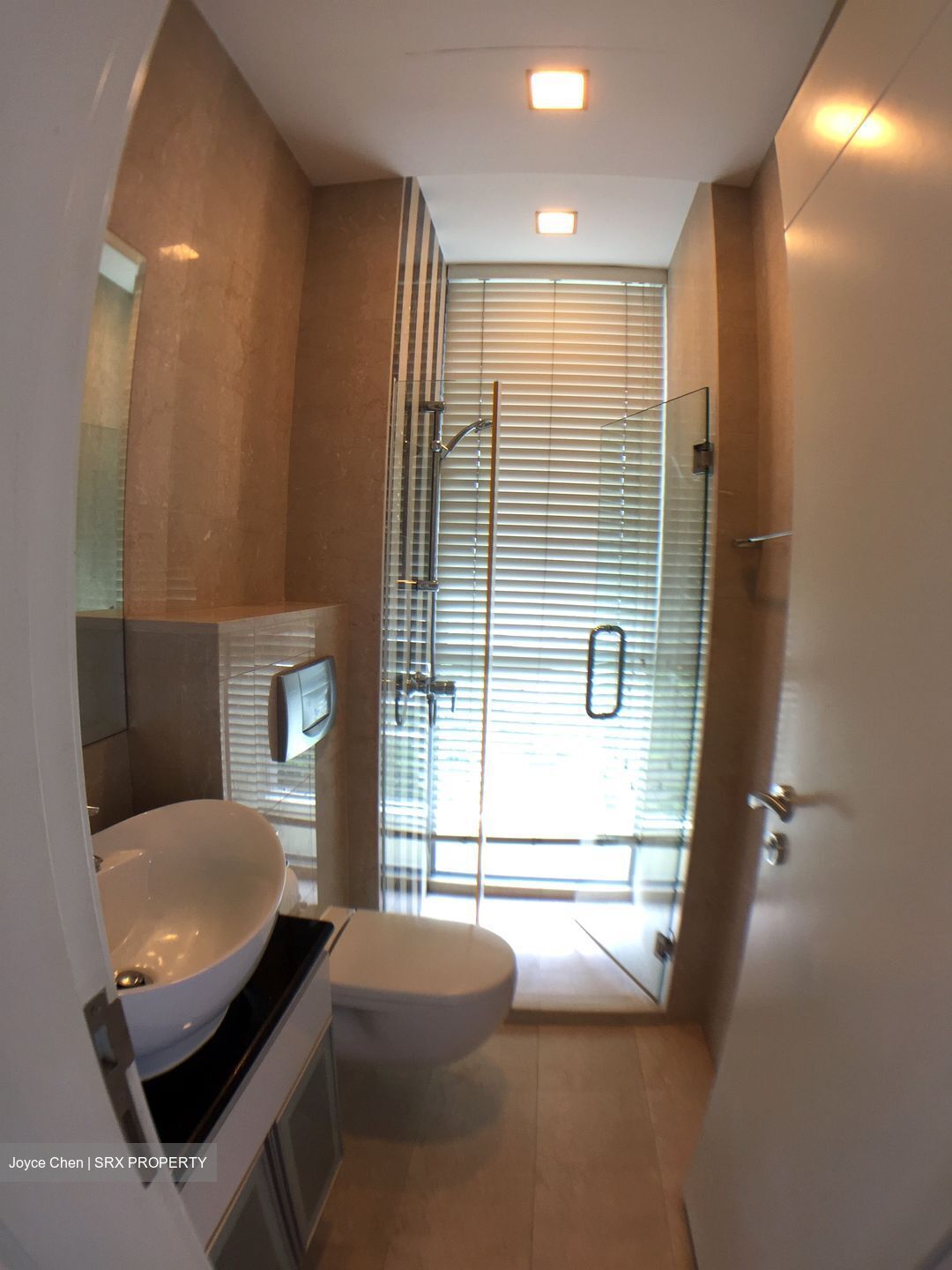 Balmoral Hills (D10), Condominium #595759281
